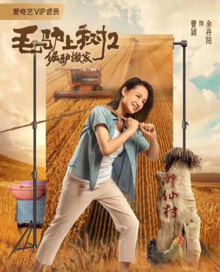 亚洲视频免费观看